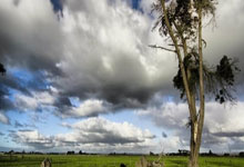 爱游戏-关于TheShy爆冷击败德国队，爆冷引爆全场！的信息