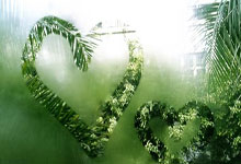 爱游戏-关于TheShy爆冷击败德国队，爆冷引爆全场！的信息